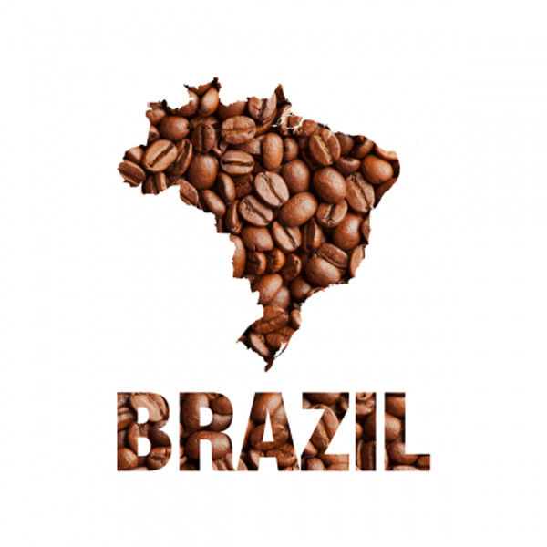 ÇEKİRDEK KAHVE (YELLOW CATUCAİ,RED CATUCAİ)